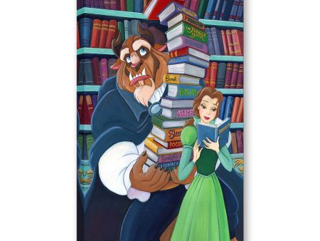 Disney  Belle s Books  Online Sale