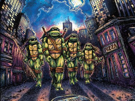 John Du Prez - Teenage Mutant Ninja Turtles (1990s) OST (Green Yellow Turtle Mask Splatter Vinyl) Online now